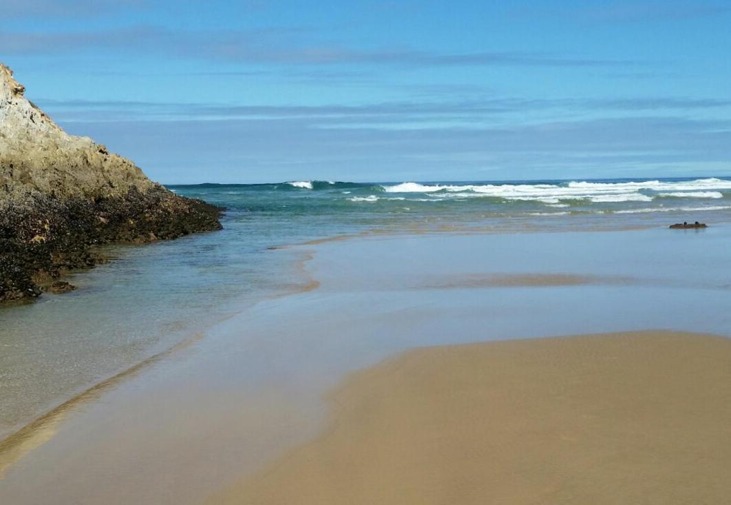 Entre Mer et Fôret Beach House Garden Route Natureʼs Valley Extérieur photo